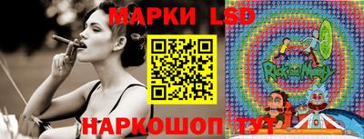 apvp Гатчина