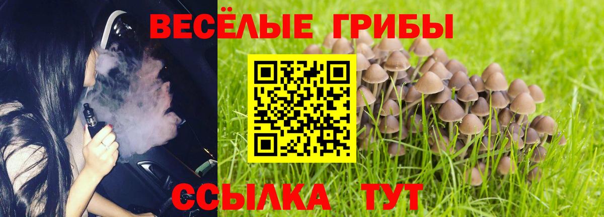 Галлюциногенные грибы GOLDEN TEACHER Севастополь
