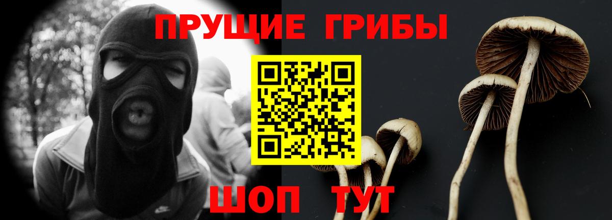 Севастополь  Псилоцибиновые грибы прущие грибы  Вход с VPN  Псилоцибиновые грибы MAGIC MUSHROOMS 